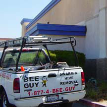 Altadena Bee Removal Guys Service Truck