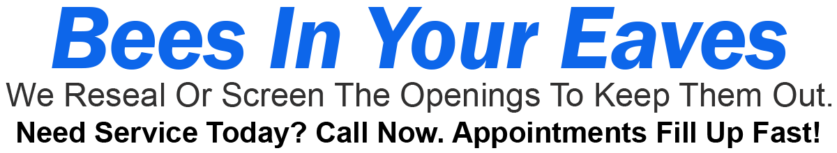 Teddys Bee Removal company logo with text that says, Do you have bees in your eaves? Call now. Appointments fill up fast