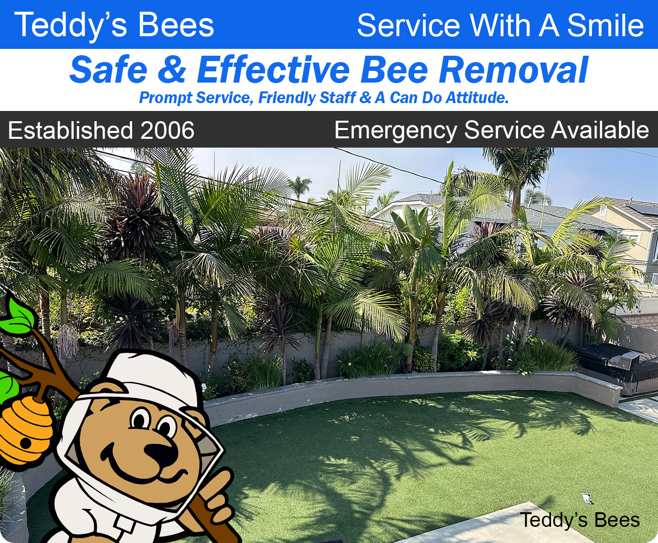 picture of a customers yard with bee swarm in a palm tree. nav image