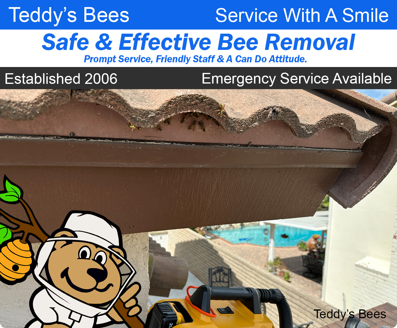 picture of teddys bees technician performing a wasp removal from of a customers home.